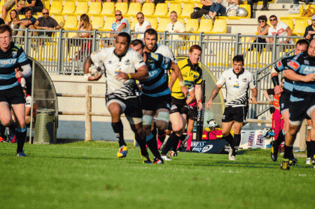 FOTO FERRARI - ZEBRE - CARDIFF GUINNESS PRO12